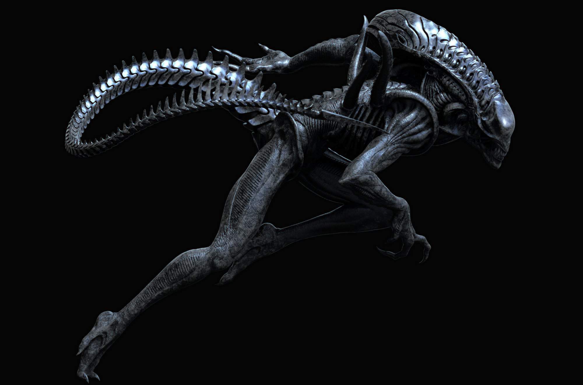 Анкета на ксеноморфа (1) Wiki Alien VS Predator Rus Amino Amino.