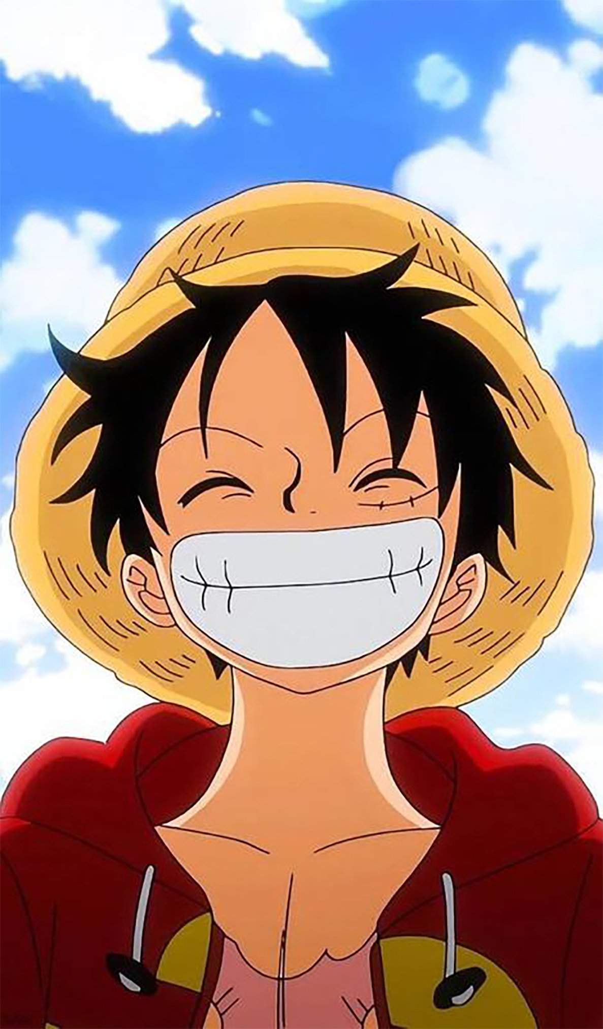 Monkey D Luffy | Wiki | Anime Amino