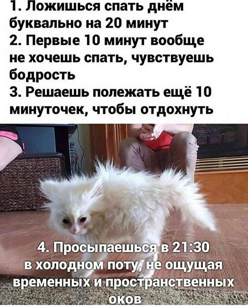 Жиза🌚 | Мемы Amino Amino