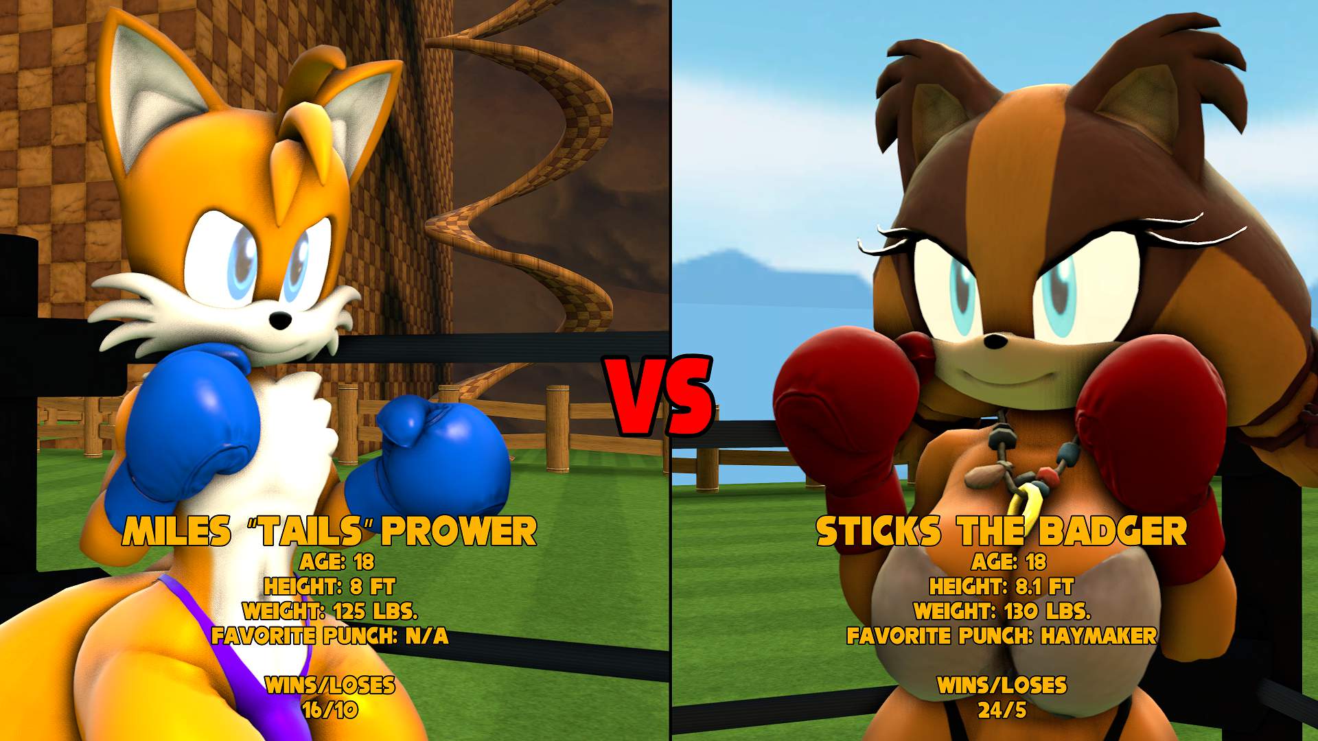 Mobius Boxing Tails Vs Sticks Anthro Fighting League Amino