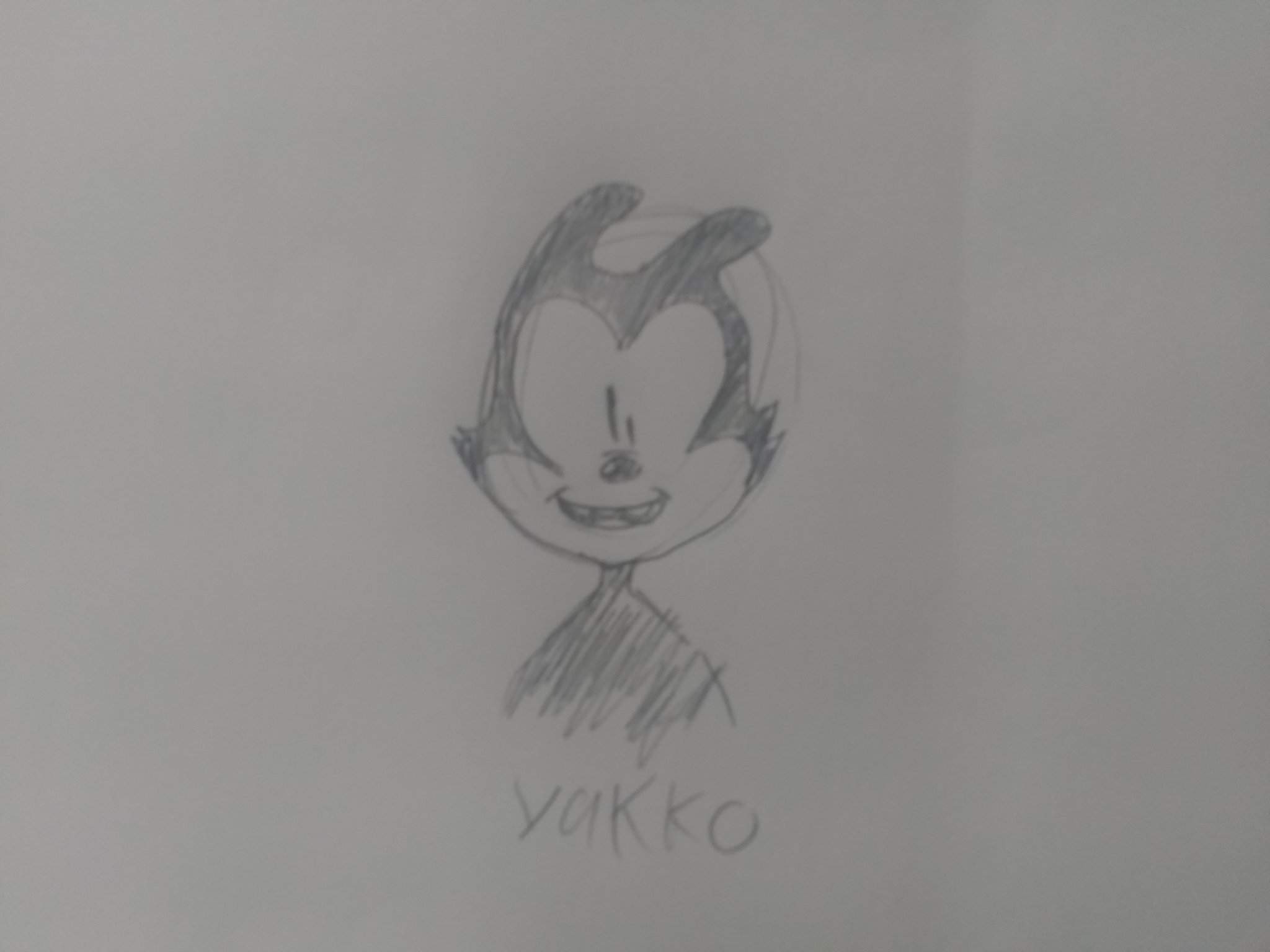 Yakko Drawing I Drew Animaniacs Amino