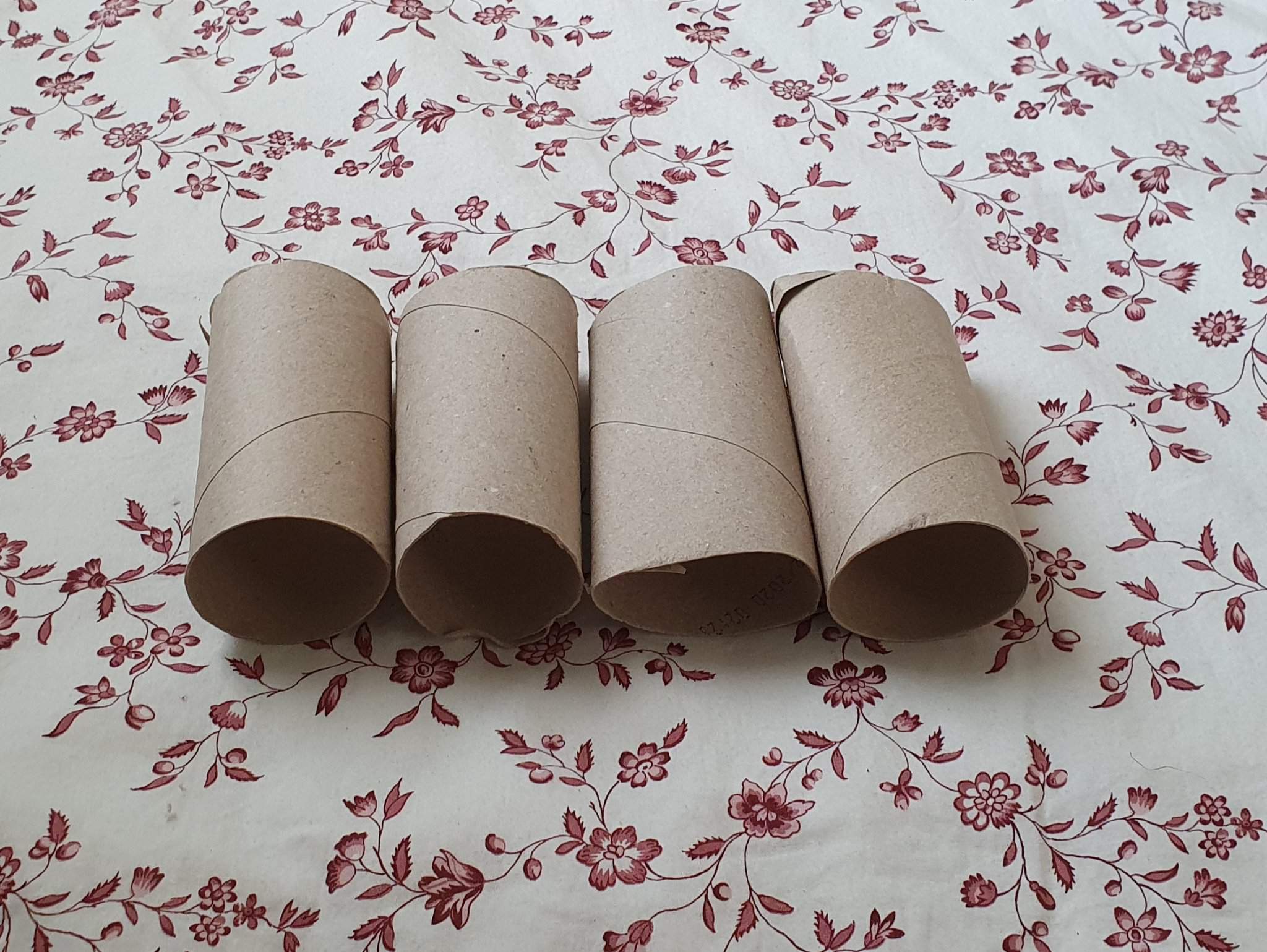 Toilet rolls DIY Hamsters! Amino