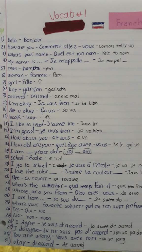 My French Notebook Set Up (Vocab 1) Languages Amino