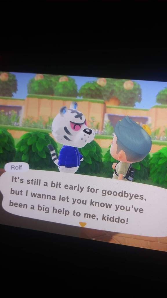 Rolf is in boxes! Animal Crossing Amino