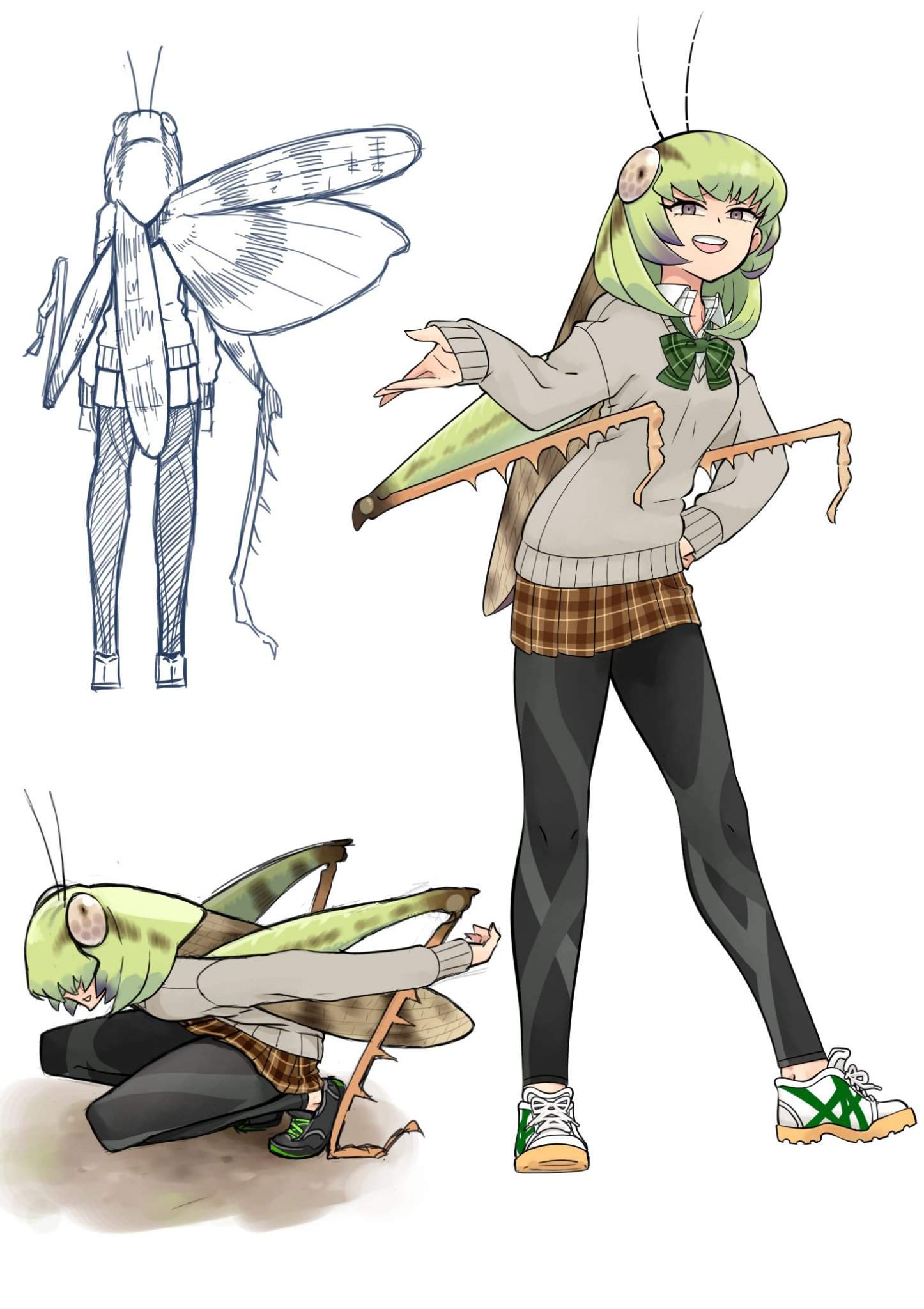 Богомол Monster girl Insectoid