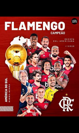 Seleção Do Flamengo | Wiki | Clube De Regatas Do Flamengo Amino