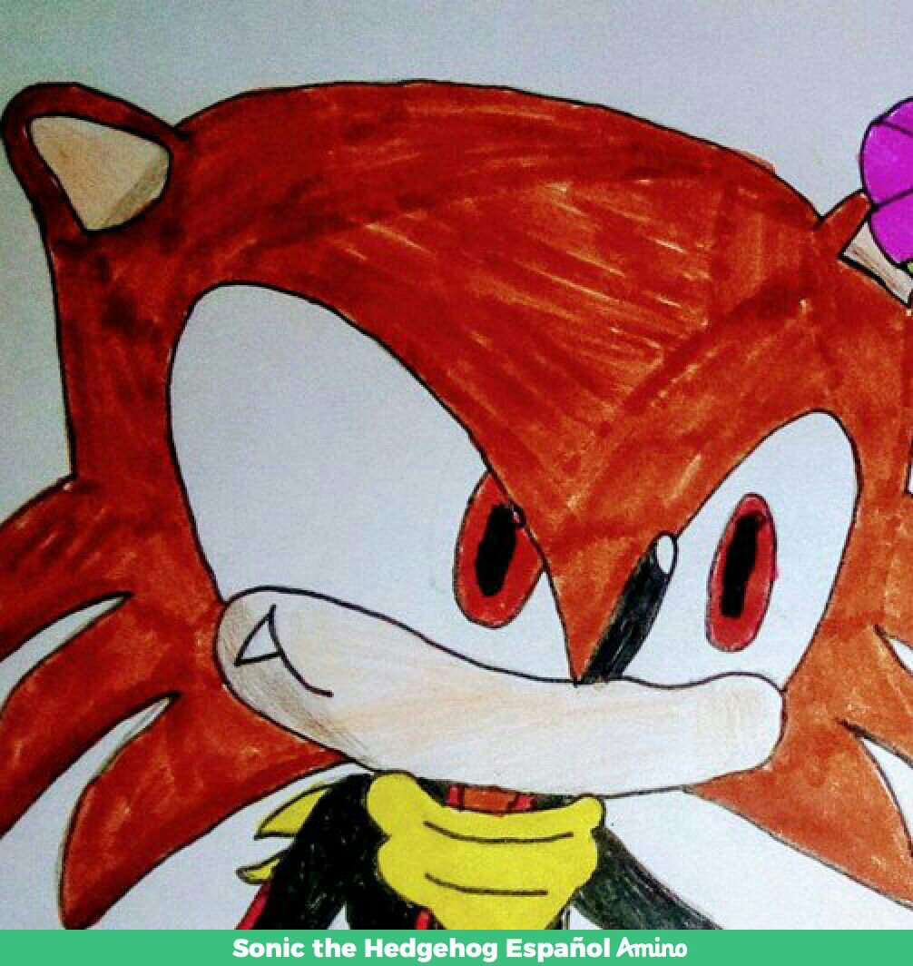 Nuevo Proyecto De Sonic En Mi Canal Sonic The Hedgehog Español Amino