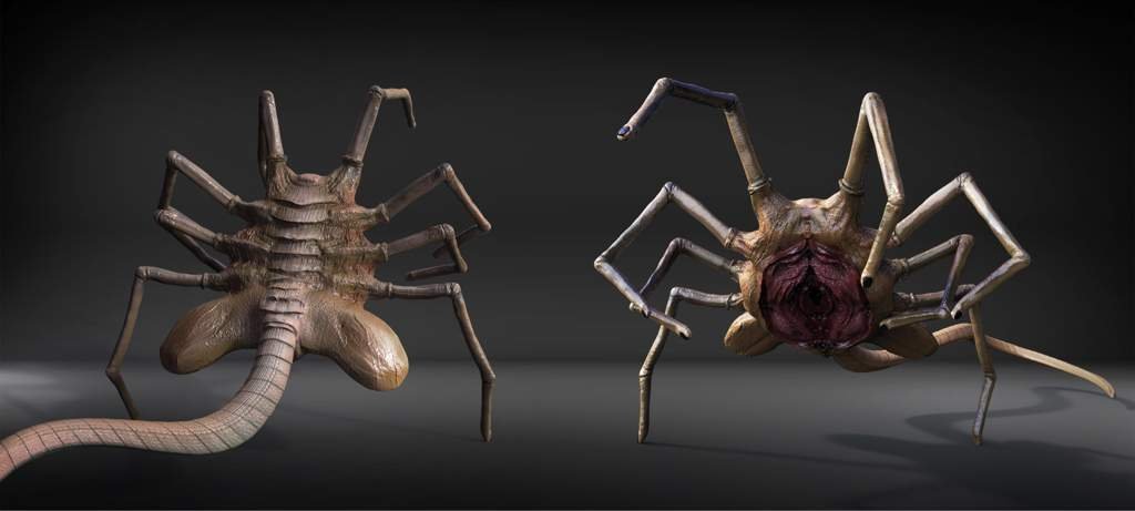 Facehugger Wiki Warfare Roleplay Amino