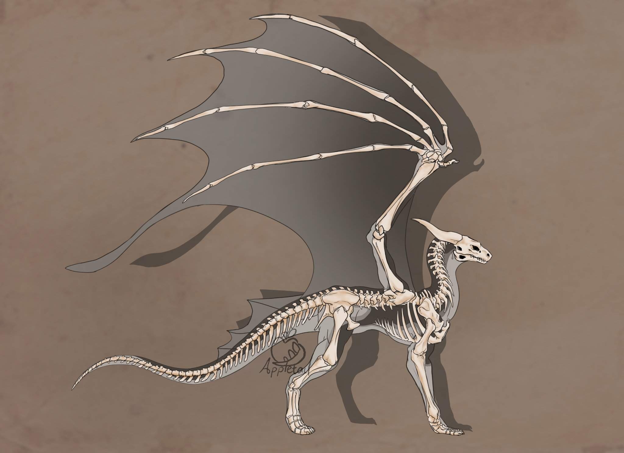 Скелет дракона референс