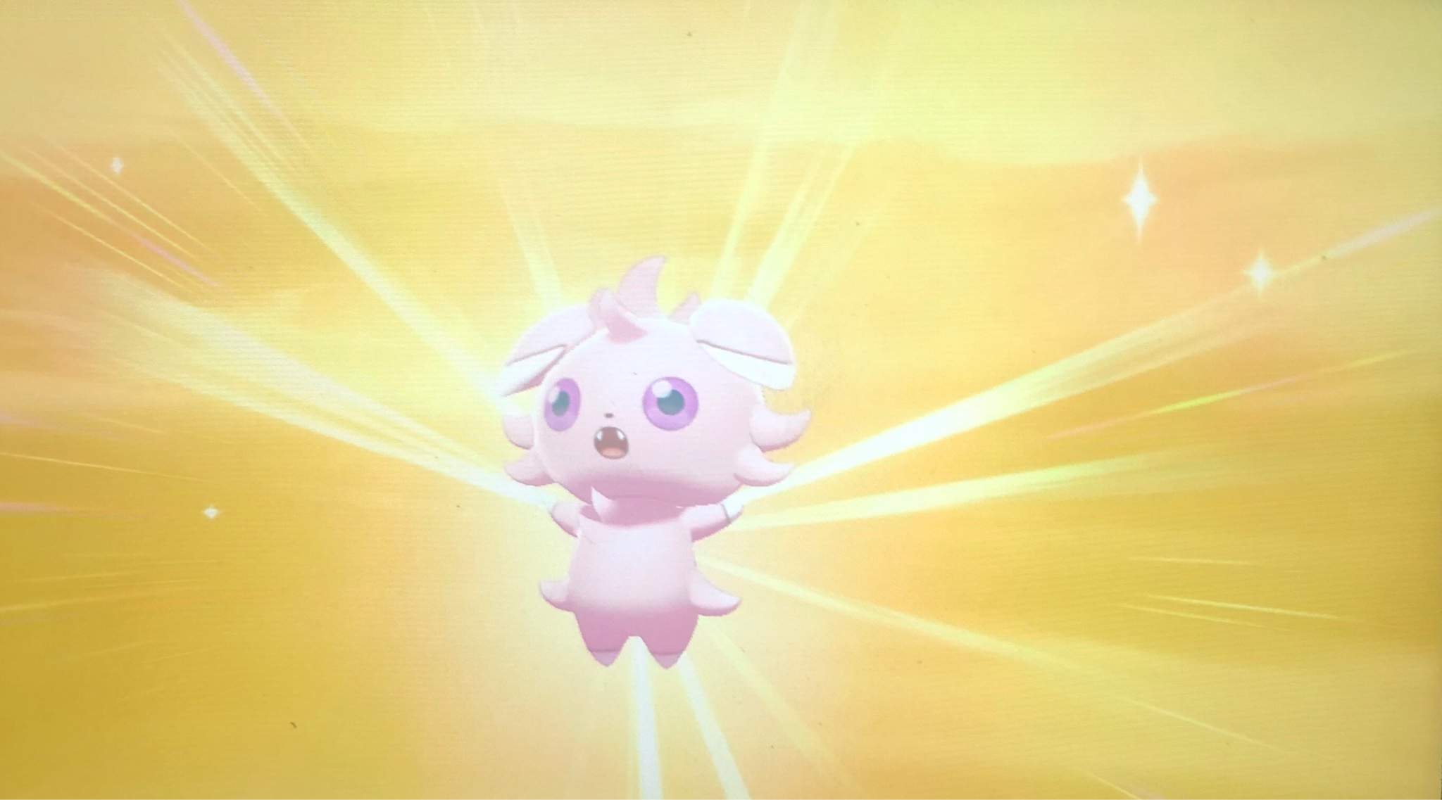 Male Shiny Espurr Emerges After Eggs Shiny Pokemon Amino Amino