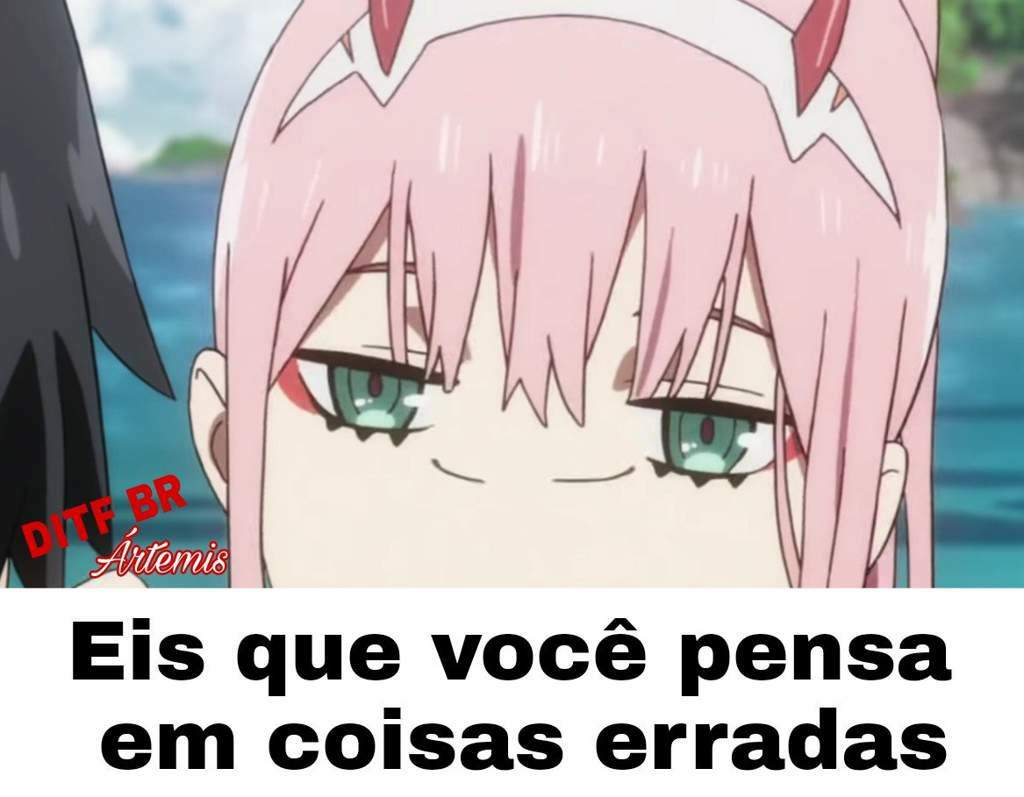 Darling In The Franxx BR Amino