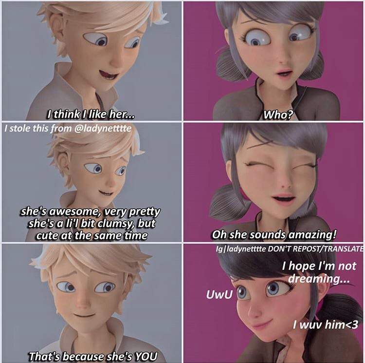 Adrienette Miraculous Memes Miraculous Ladybug Amino