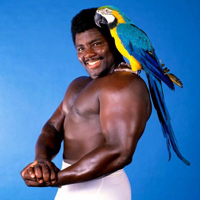 Happy Birthday To Koko B. Ware! | Pro Wrestling Lives!!! Amino