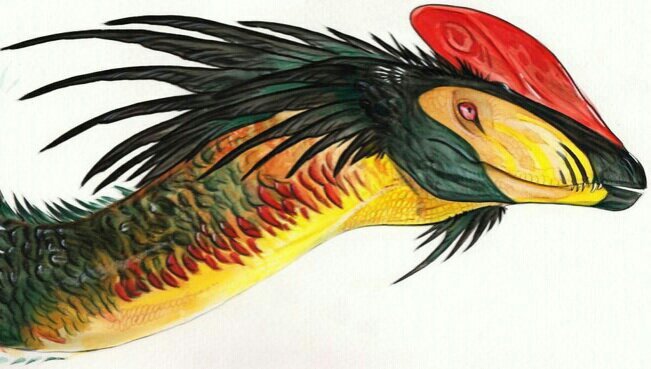Анкета | Wiki | Jurassic World Ru Amino