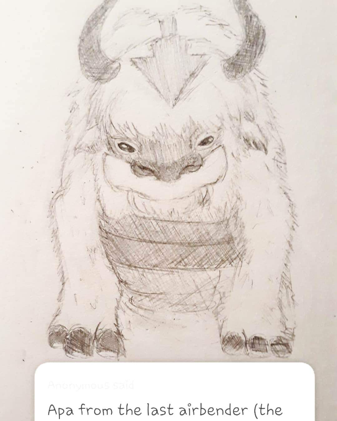 Appa Yolo Doodle Art Amino