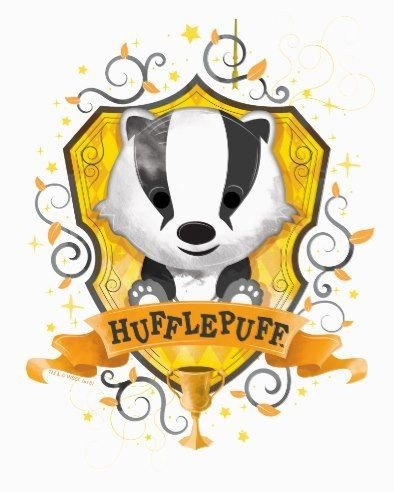 Ficha Wiki Hogwarts Amino