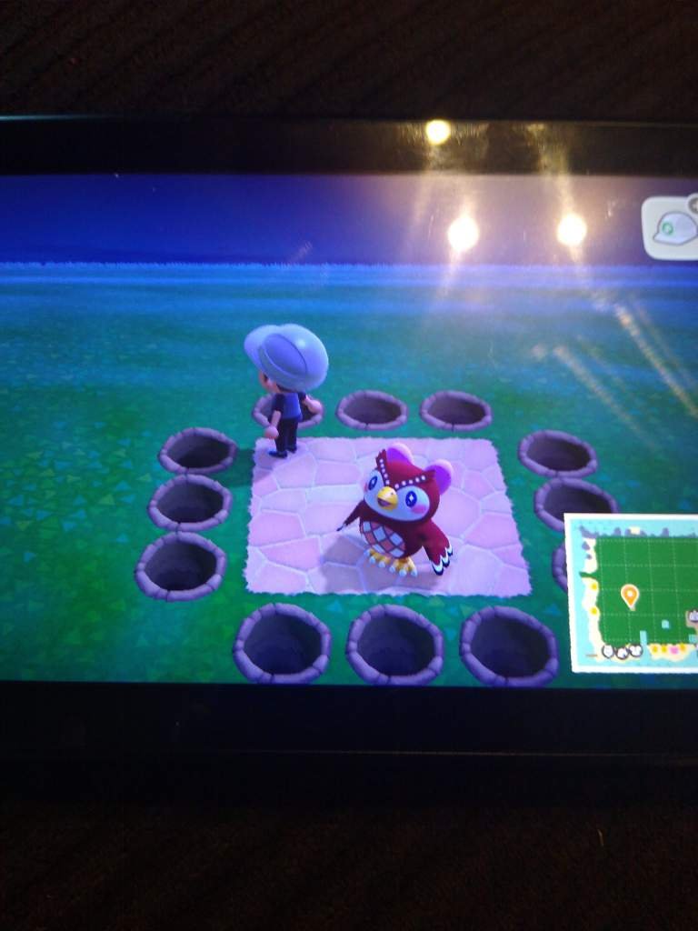 Meteor Shower On My Island[CLOSED] Animal Crossing Amino