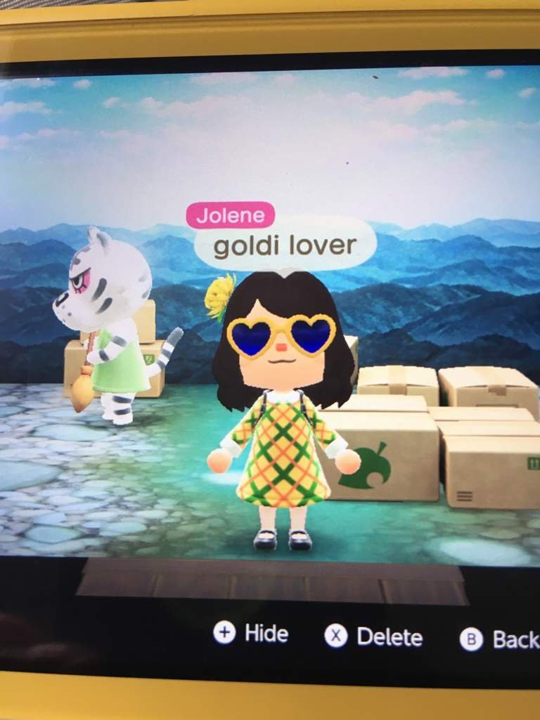 Rolf In boxes Animal Crossing Amino