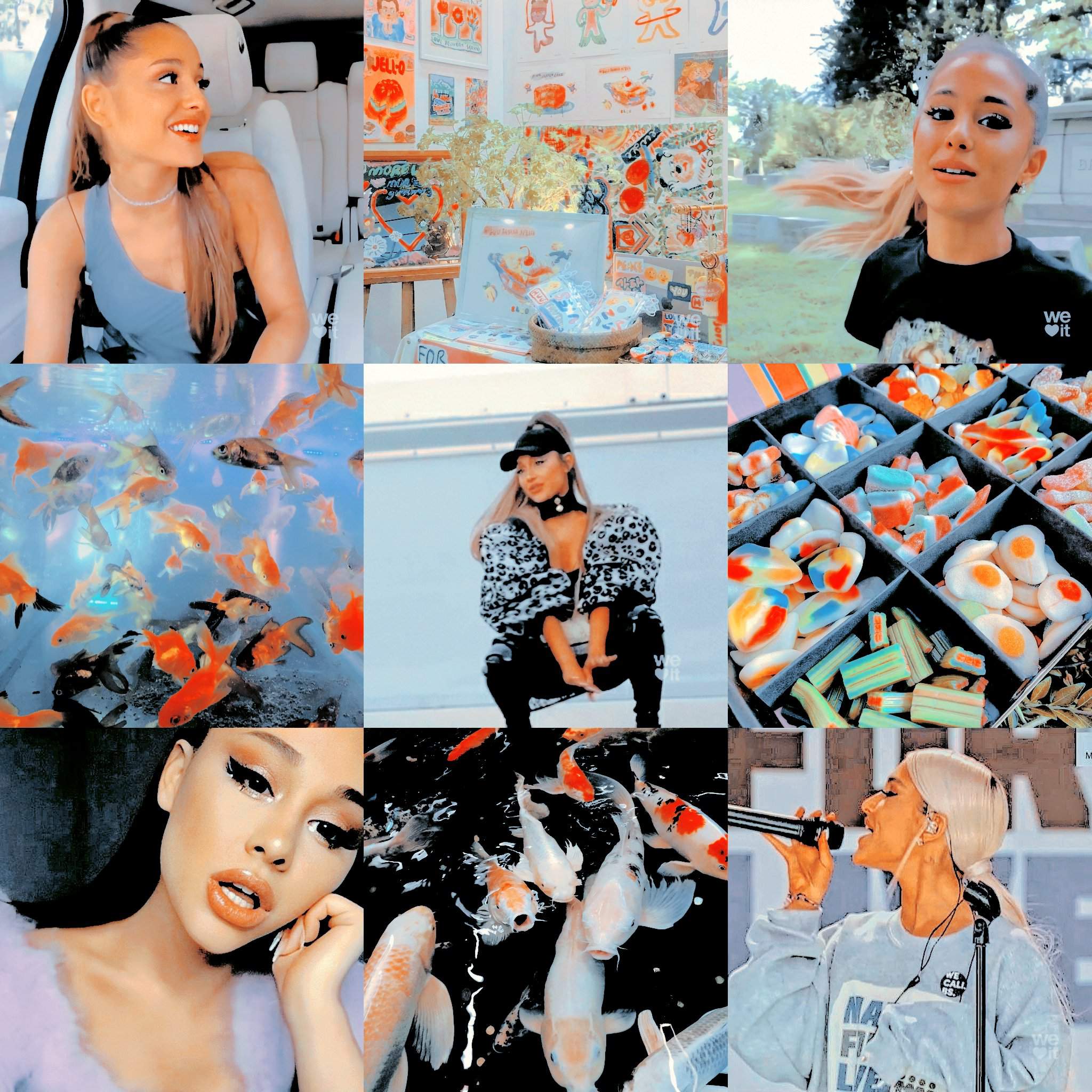 Ariana Moodboards Arianators Amino 3919