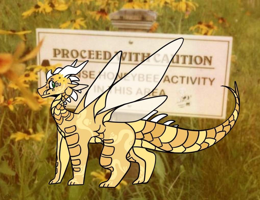 hivewings, silkwings, leafwings Wiki Wings Of Fire Amino