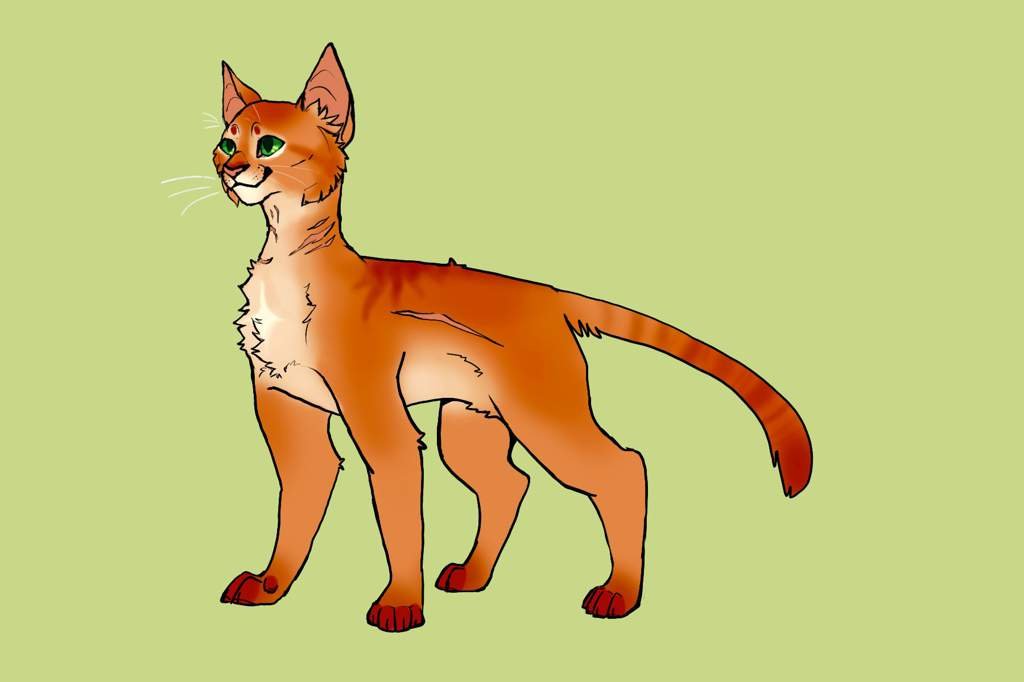My Firestar Design Warriors Arts and Ocs Amino