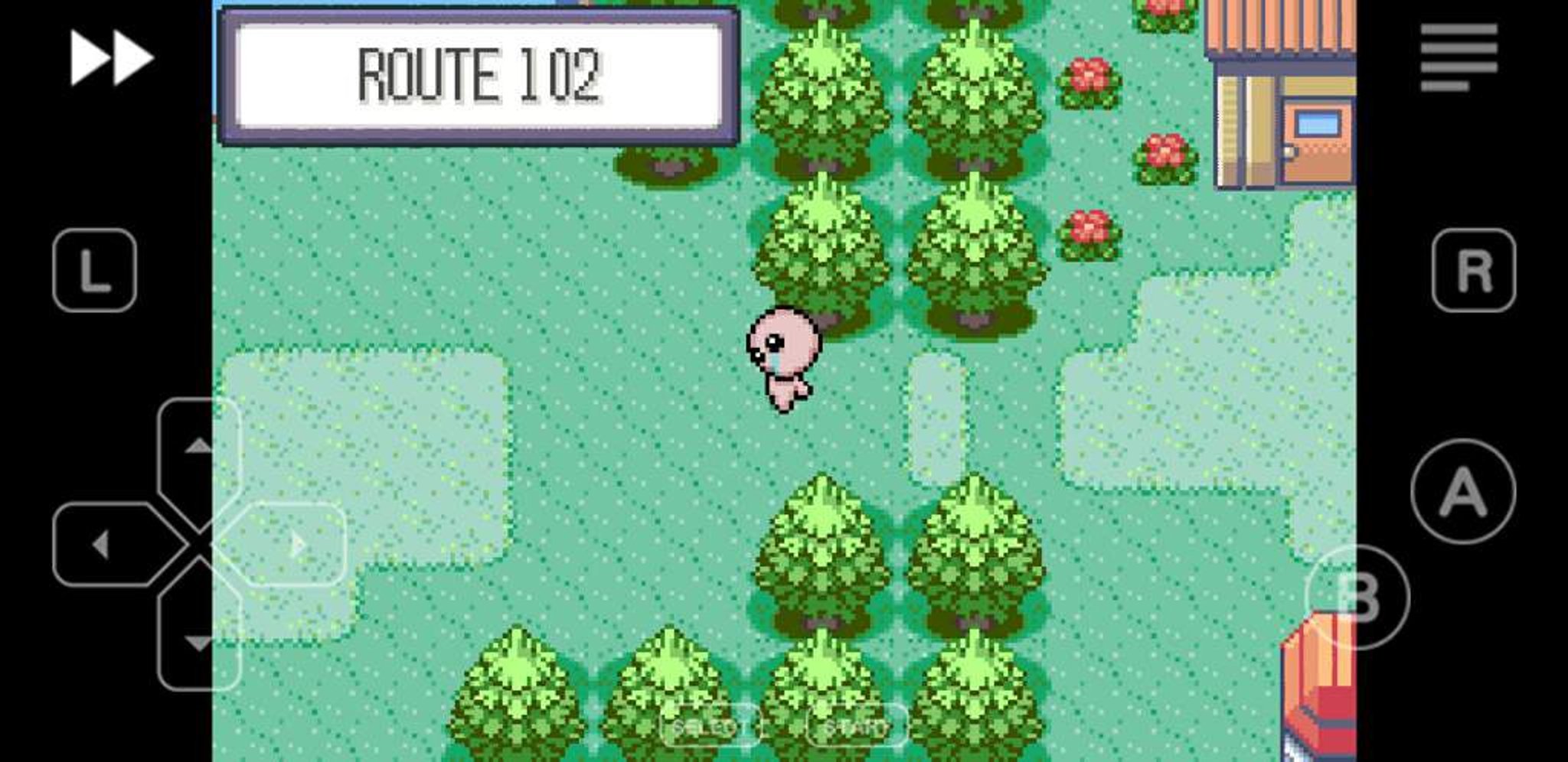 pokemon extreme randomizer pc pokemon extreme randomizer pc