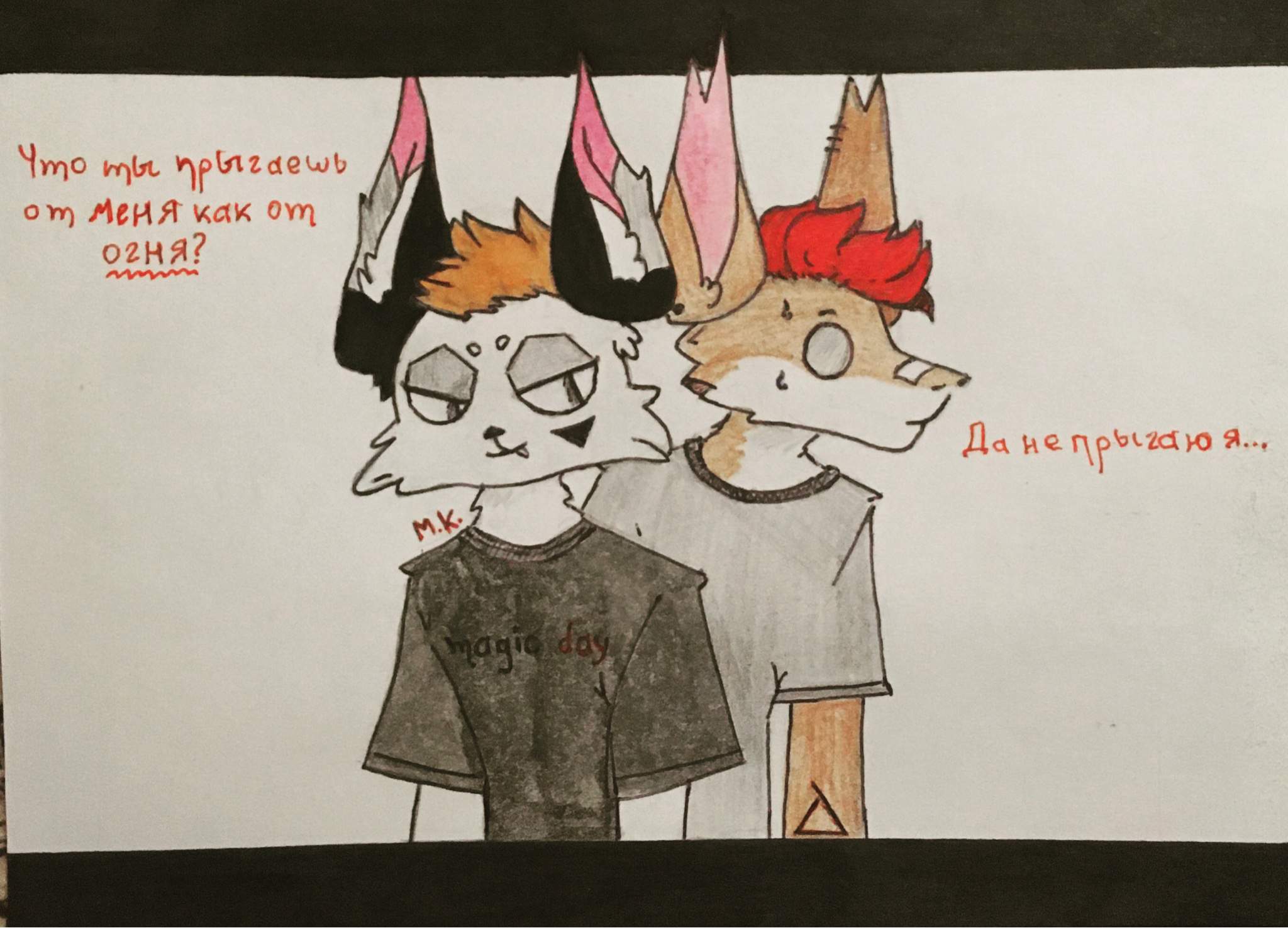 furry-russia-amino