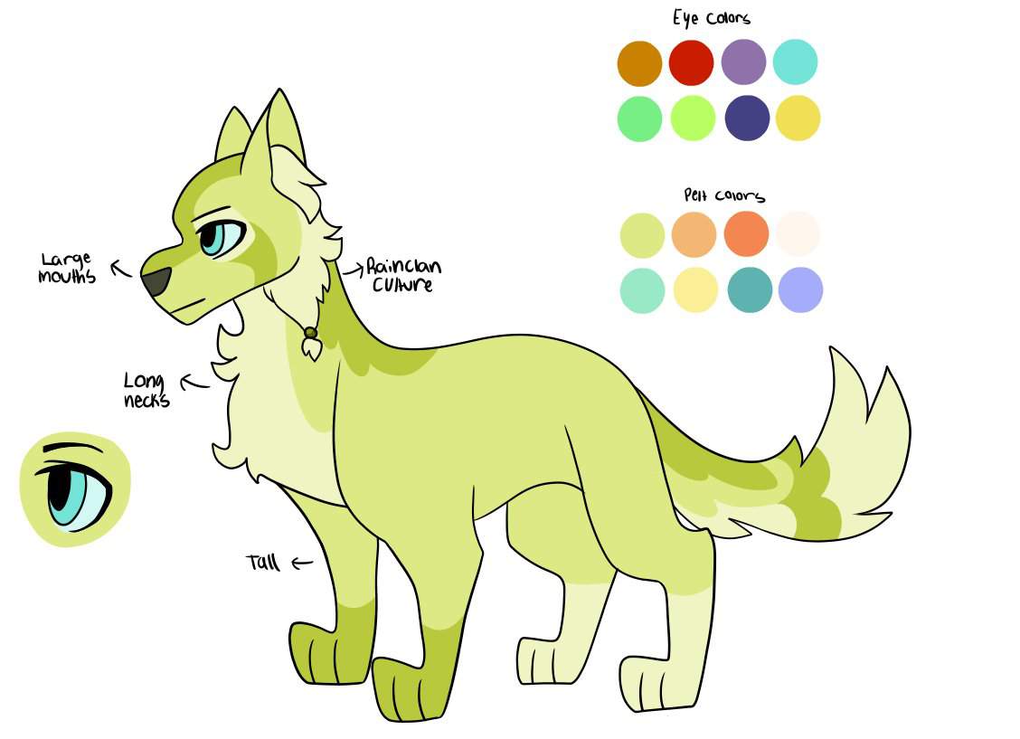 what-eye-color-should-my-oc-have-warriors-amino