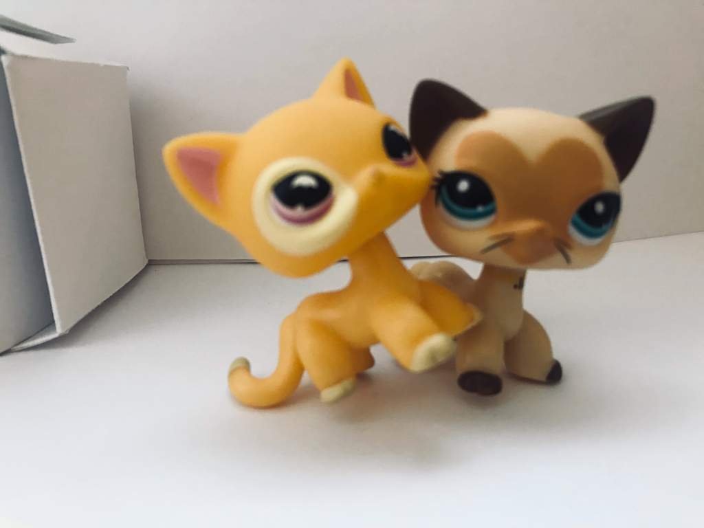 🥰 | Лпс Russia Amino
