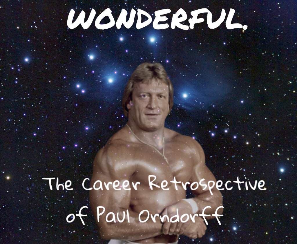 Mister Wonderful The Career Retrospective Of Paul Orndorff Wrestling Amino