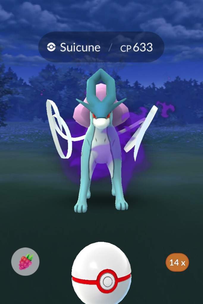 Shadow Suicune😈 Pokemon GO Amino