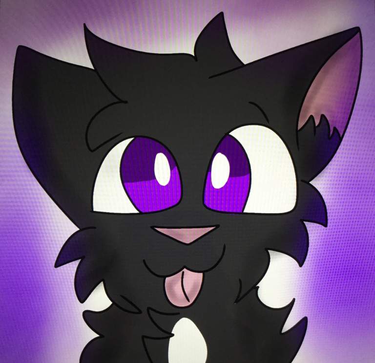 ravenpaw plush