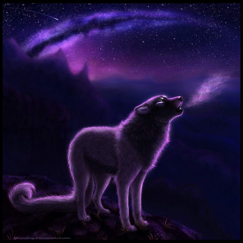 Волк стоящий на скале
