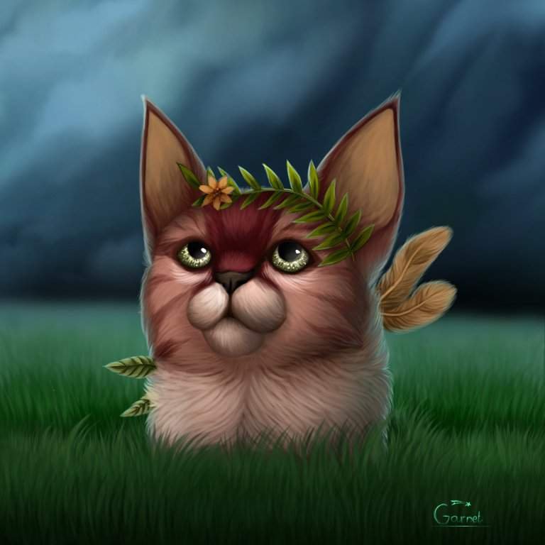 Котик :^ | ☀️ Мир для ХуДоЖнИкОв ☀️ Amino