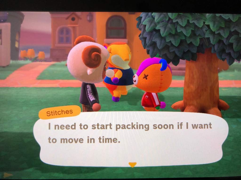 stitches pillow pet animal crossing