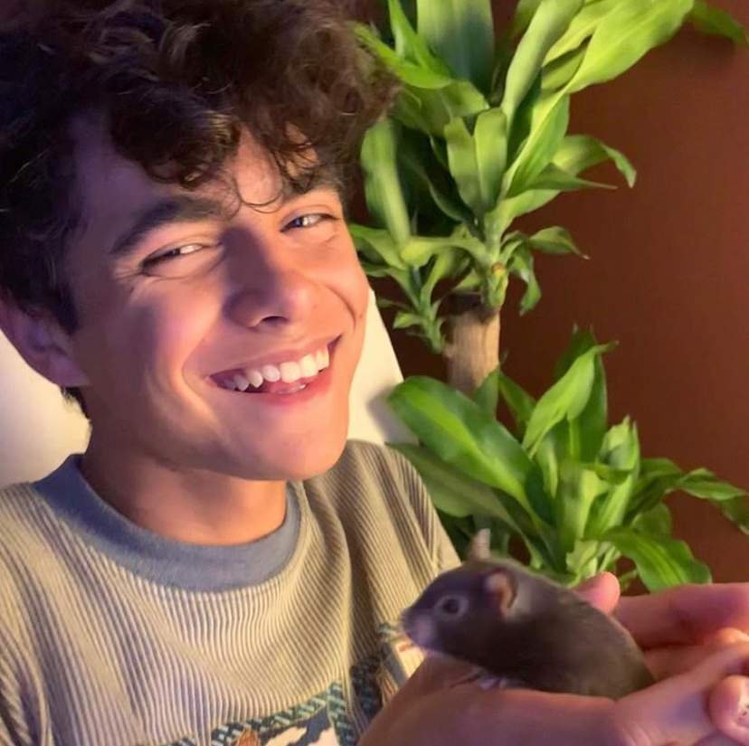 owen oliver west Wiki Marvel Amino