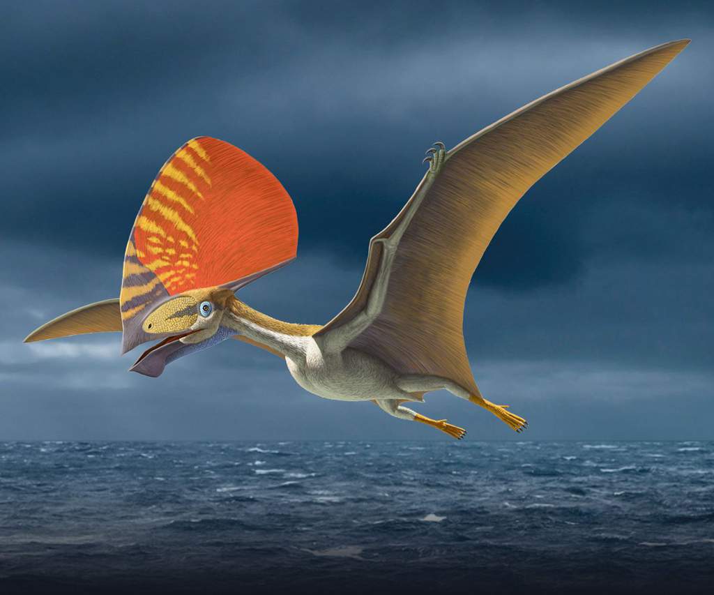 летающие динозавры картинки с названиями