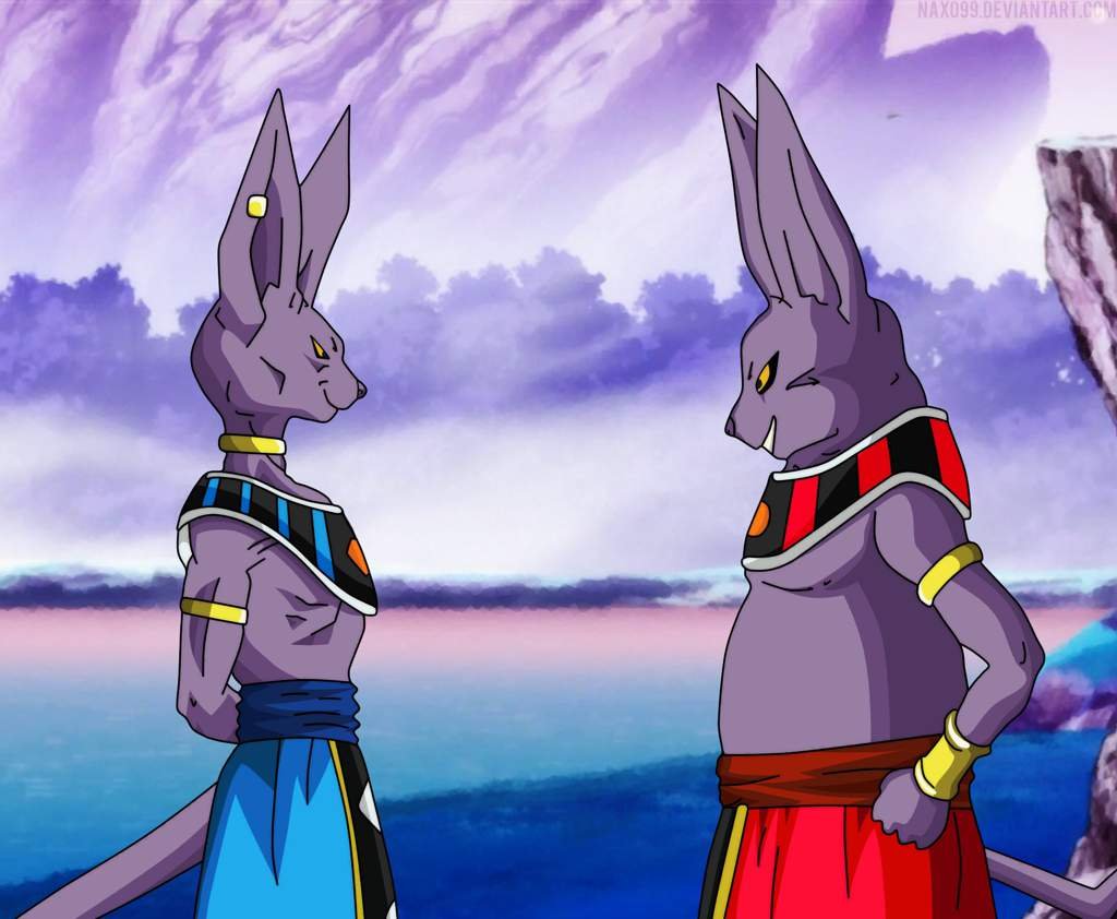 Beerus VS Champa DragonBallZ Amino