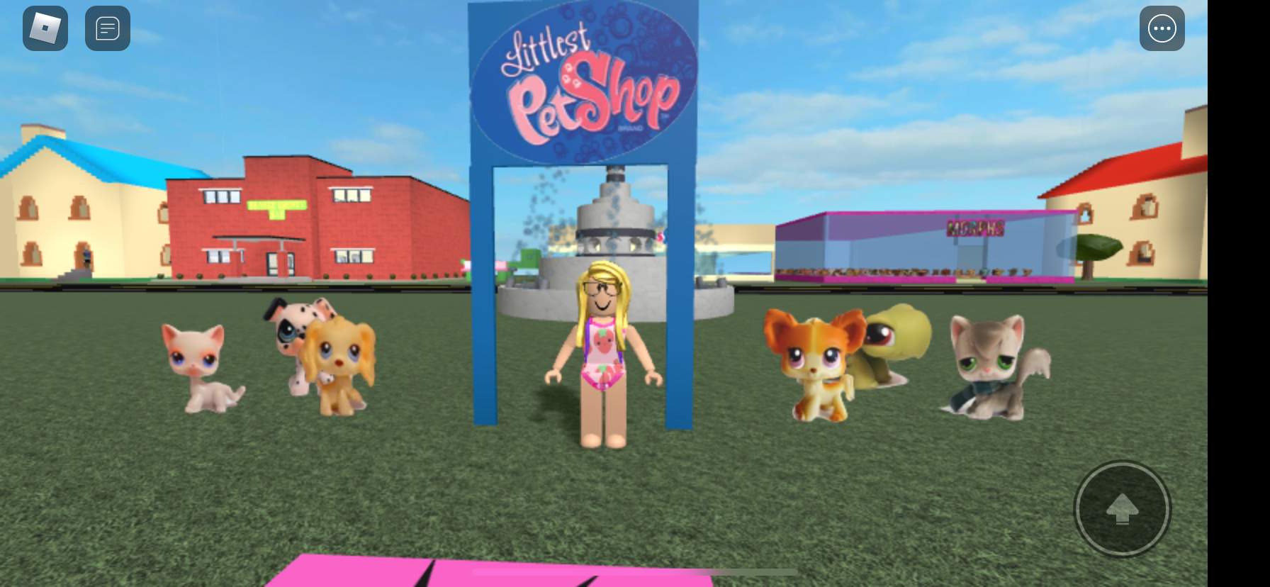 Roblox Littlest Pet Shop | Wiki | LPS Amino