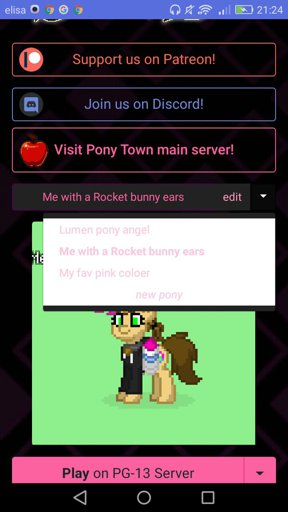 all custom pony town servers