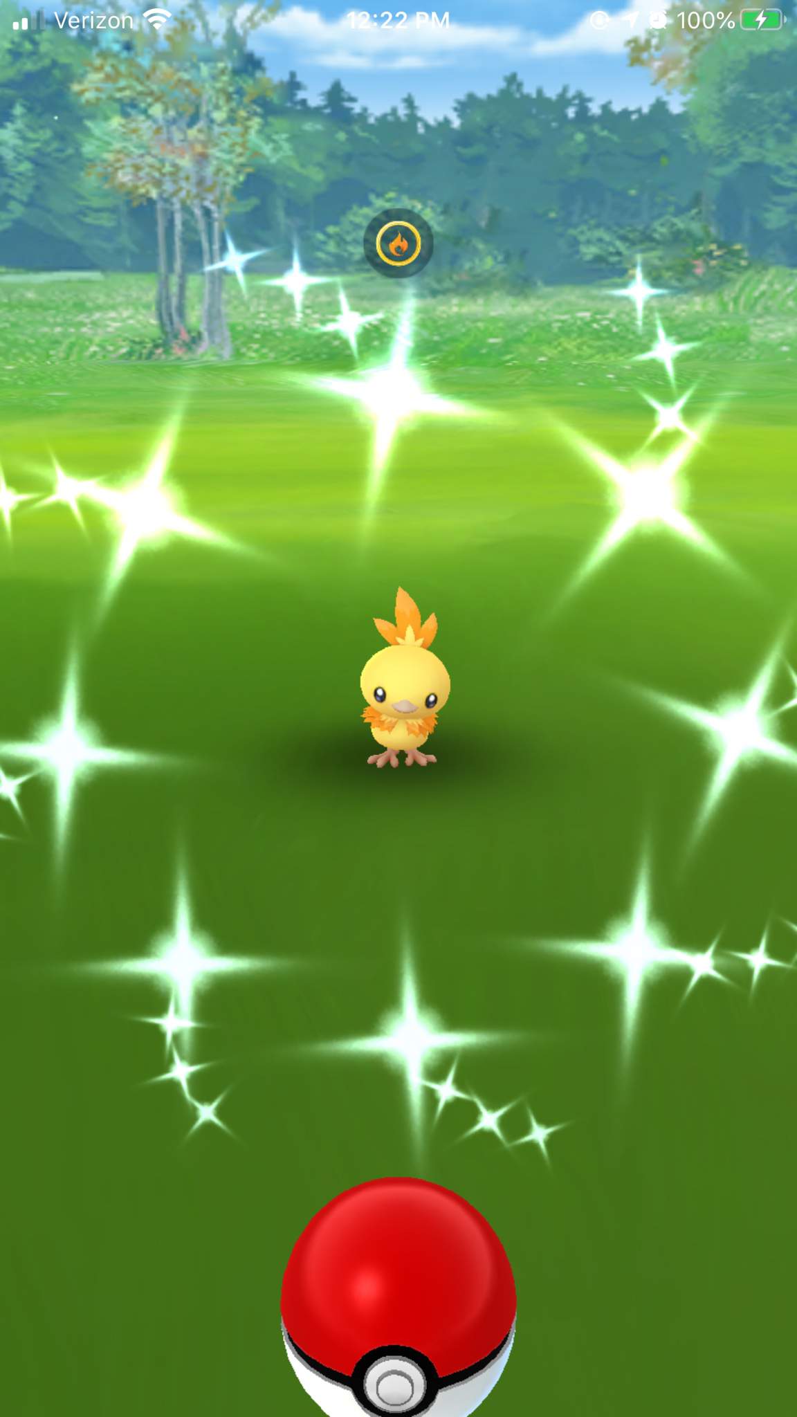 shiny torchic pokemon x