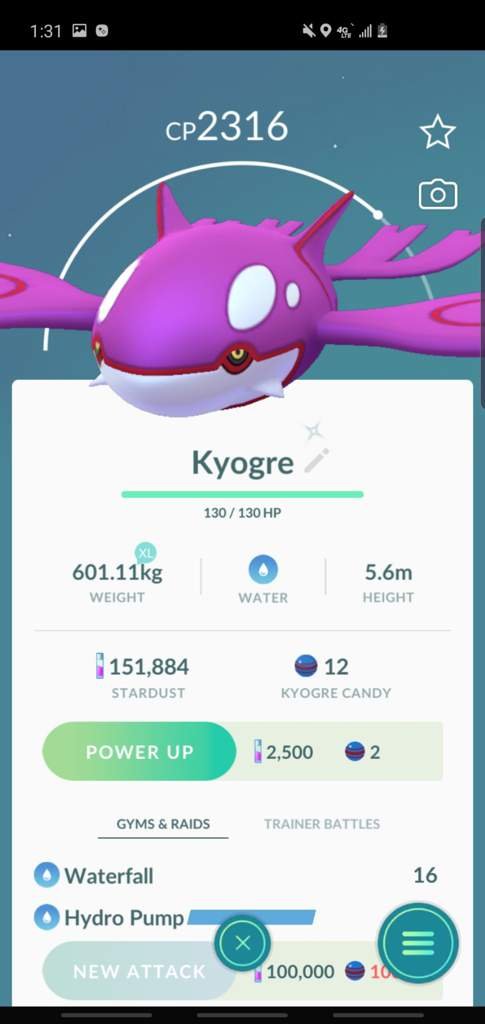 Two shiny Kyogre Pokemon GO Amino