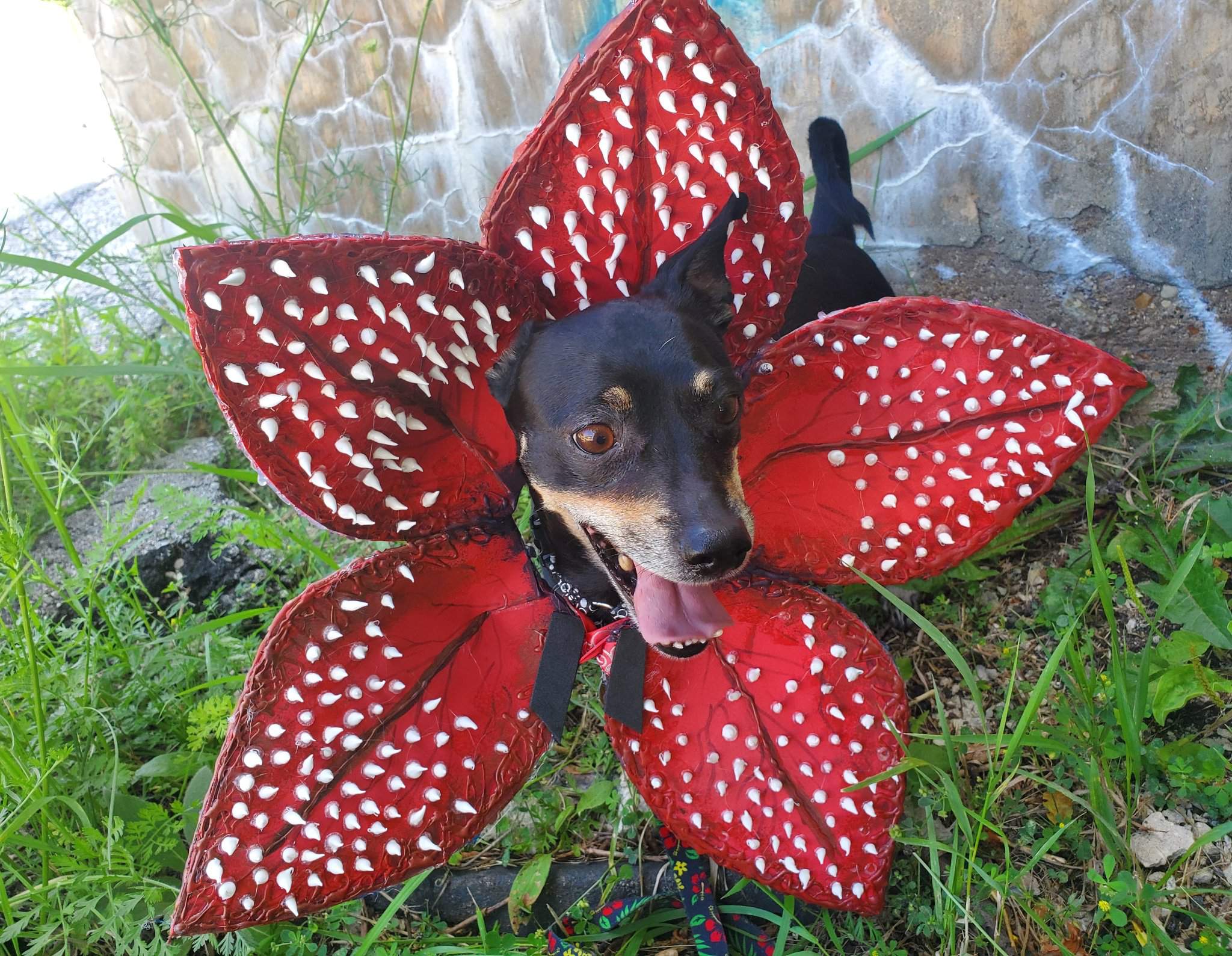 demodog movie