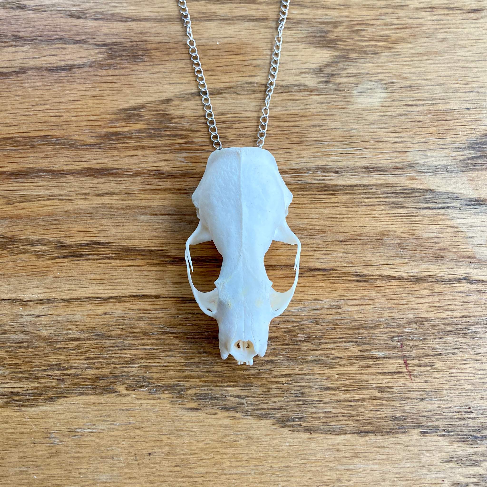 skull and bones necklace