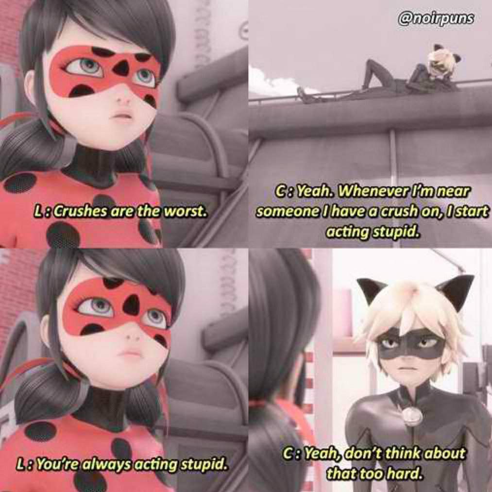 Miraculous Memes Miraculous Roleplay Amino