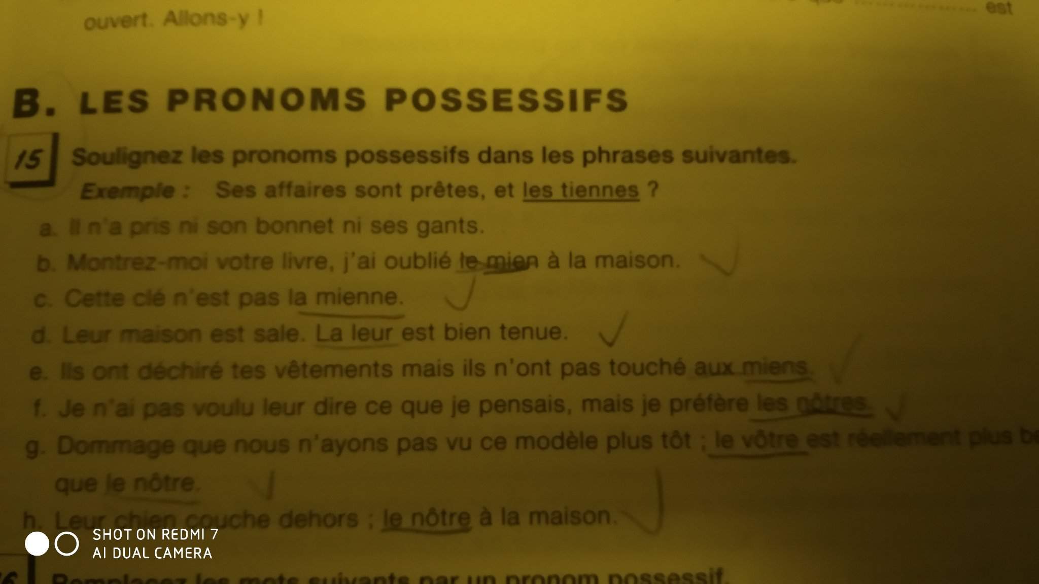 daily-french-24-language-exchange-amino