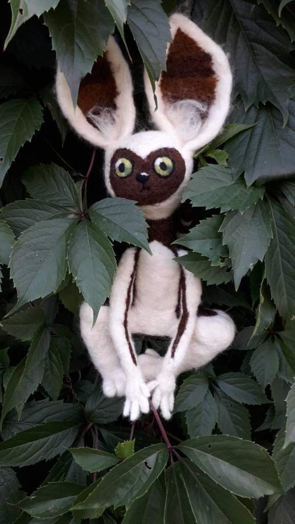 my plush toy