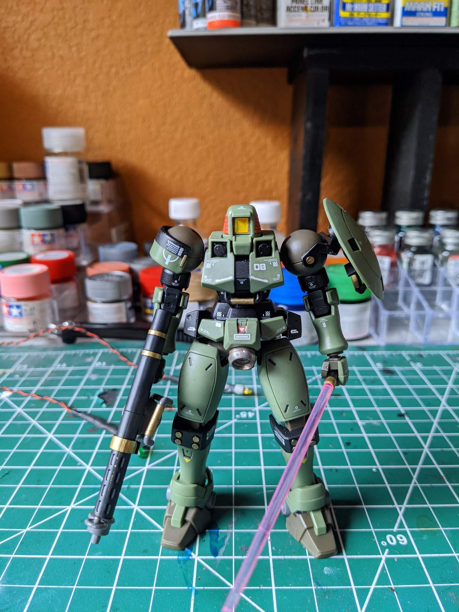 hg leo custom