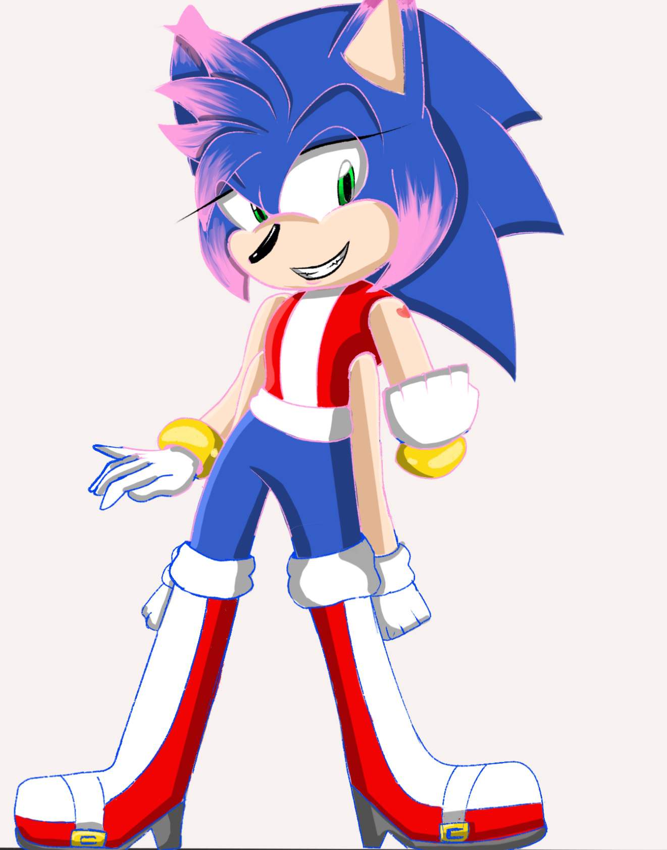 Sonamy Fusion Sonic The Hedgehog Amino 9455