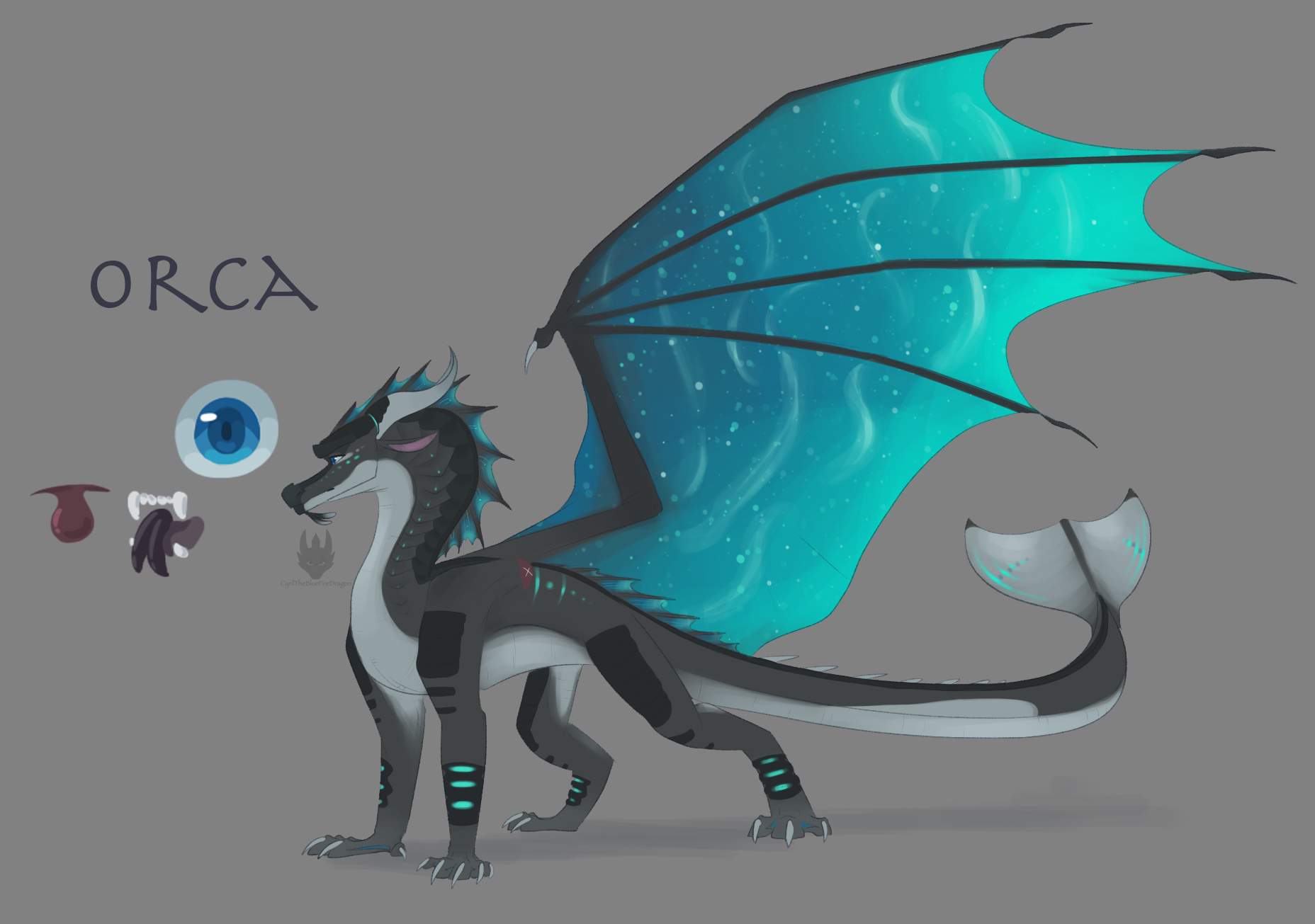 ~ Orca ~ - updated - Male Nightwing/Seawing Hybrid ~ Personality ~ Chill, c...